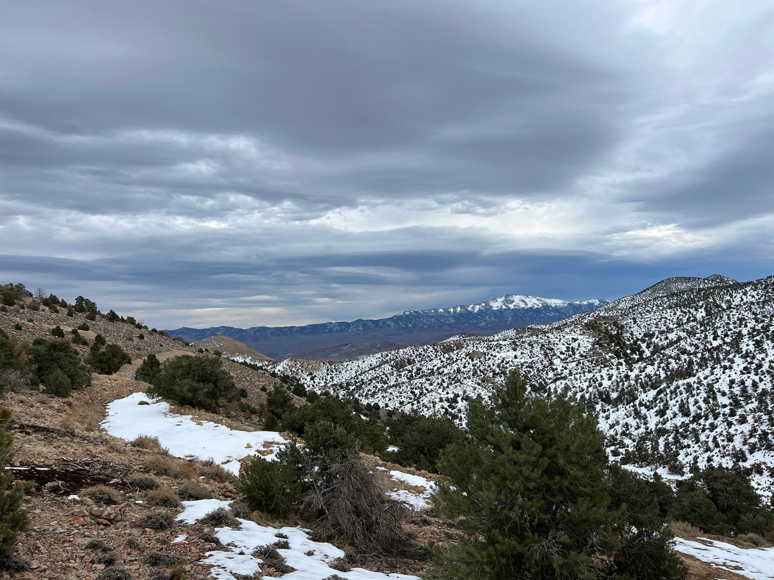 Custom Clothing for Northern Nevada's Unique Climate - Shop Battle Born Clothing